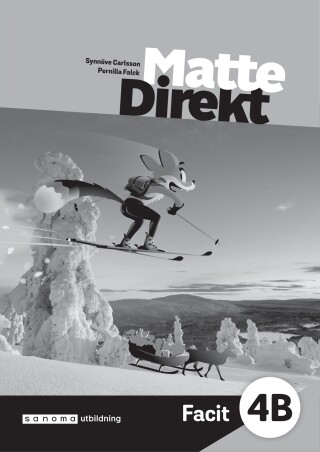 Matte Direkt 4B Facit (5-pack)